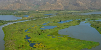 Deputados de MT liberam áreas protegidas no Pantanal