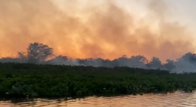 Incêndio põe em risco mais de 40 famílias de comunidade indígena no Pantanal; veja vídeo